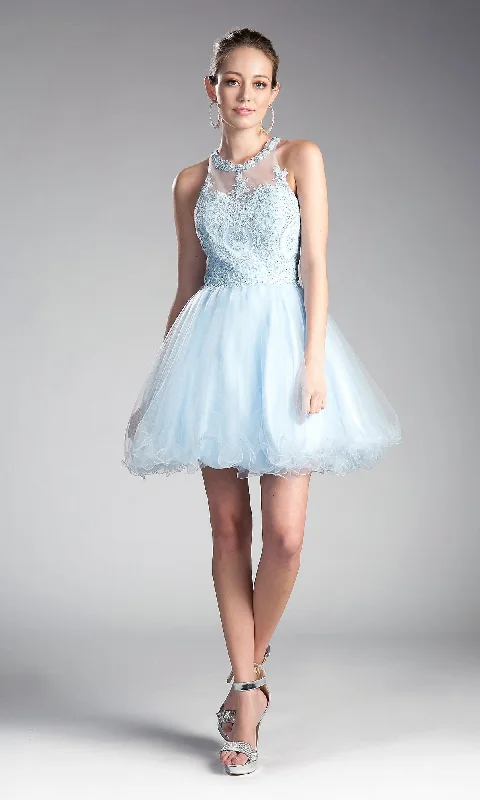 Instant Savings Ladivine Short Party Dress UJ0119